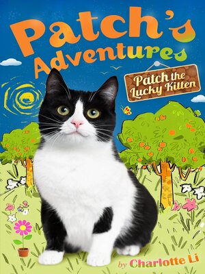 cover image of Patch's Adventures